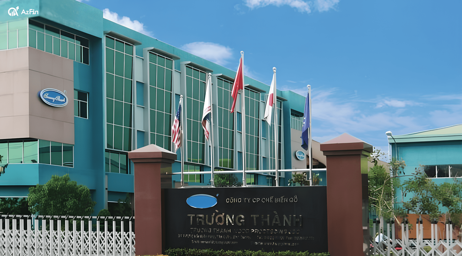 Nhận định cơ bản về cổ phiếu TTF