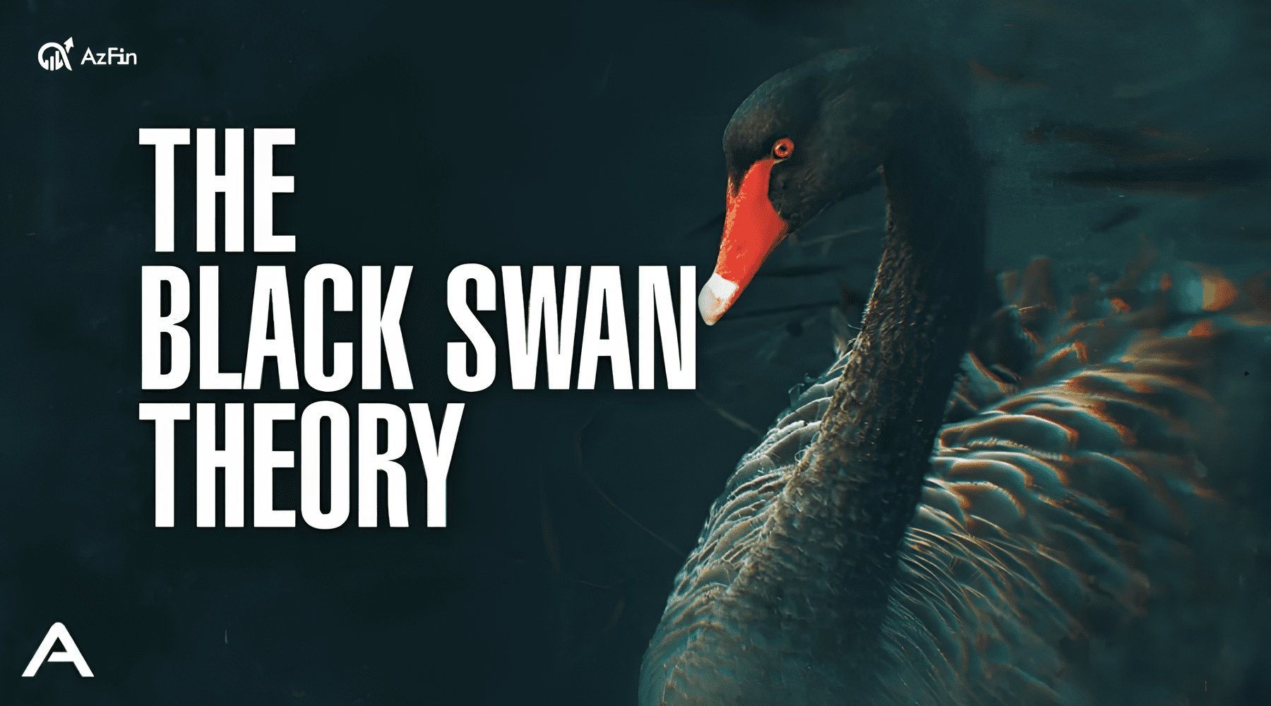 Tại sao thiên nga đen là "kẻ thù" của nền kinh tế?