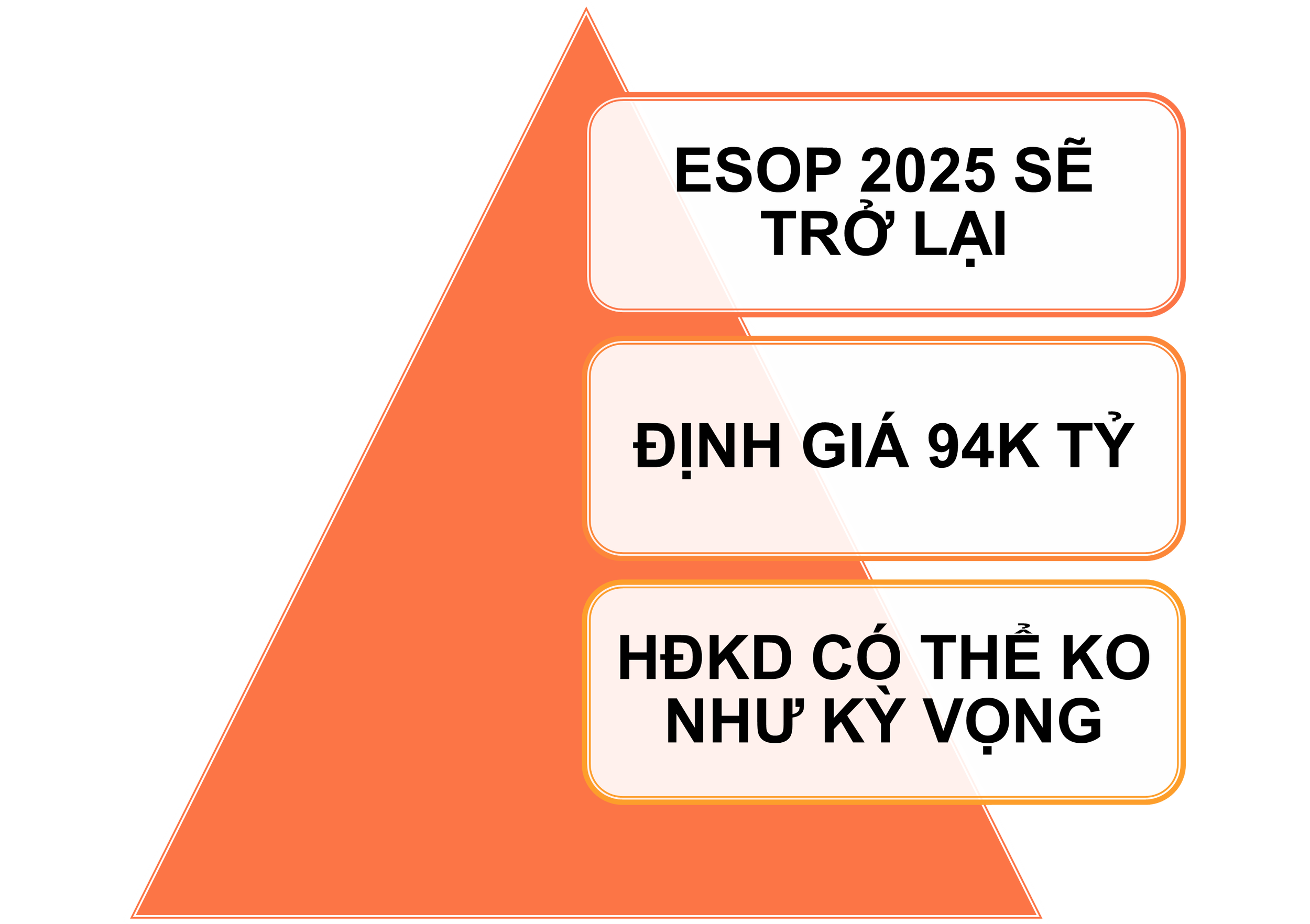 Rủi ro của MWG