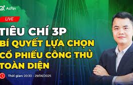 "Ngon, bổ, rẻ" của triết lý 3P - Chìa khóa Đầu tư giá trị bền vững