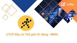 MWG có phù hợp để tích sản không?